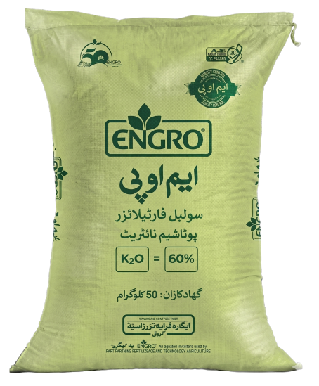 اینگرو ایم او پی