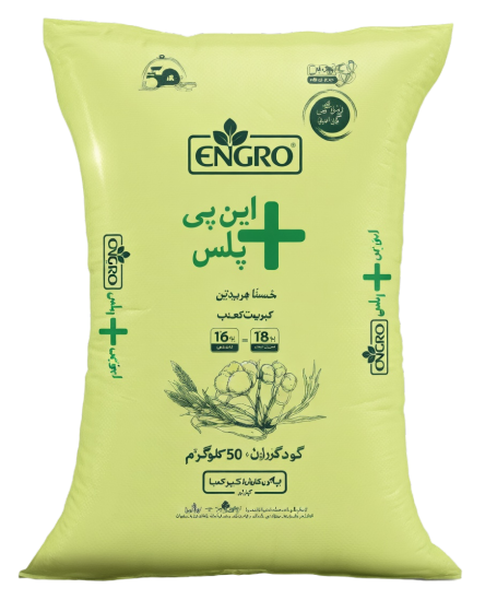 اینگرو این پی پلس