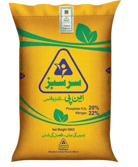 سرسبز این پی