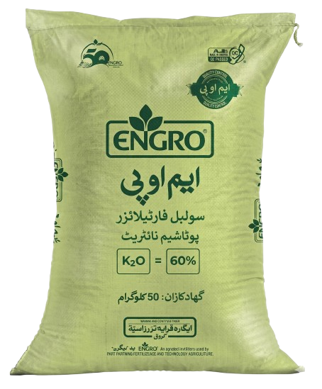 اینگرو ایم او پی