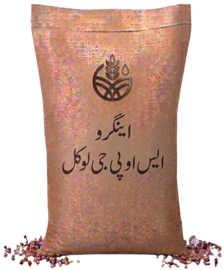 اینگرو ایس او پی جی لوکل
