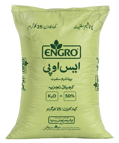 اینگرو ایس او پی