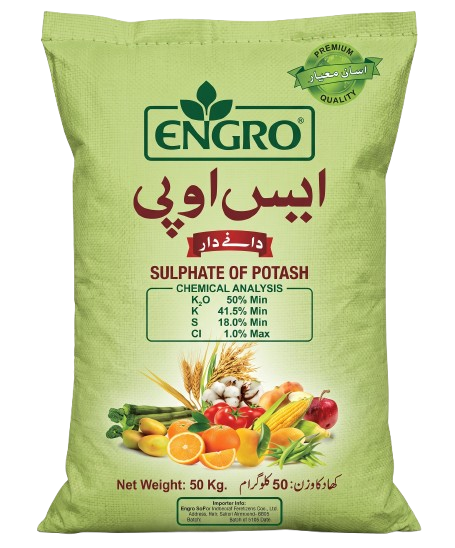 ایس او پی جی