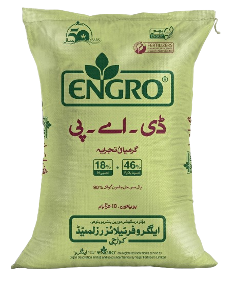 اینگرو ڈی اے پی