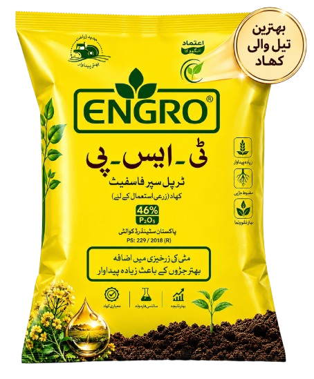 اینگرو ٹی ایس پی