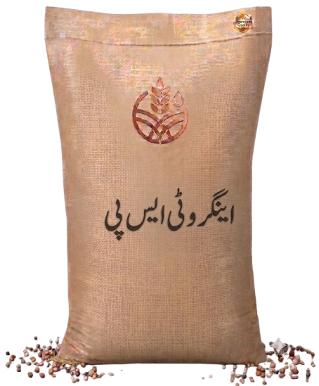 اینگرو ٹی ایس پی