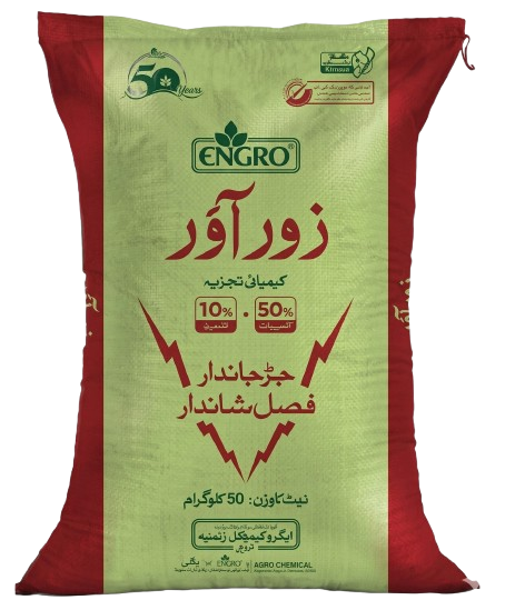 اینگرو زور آور