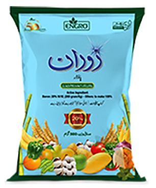 اینگرو زورون زنک