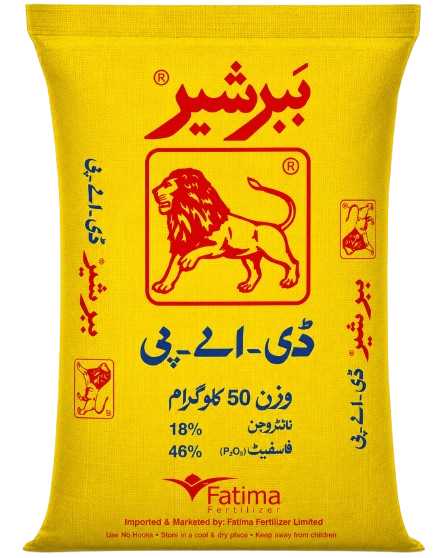 ببر شیر ڈی اے پی