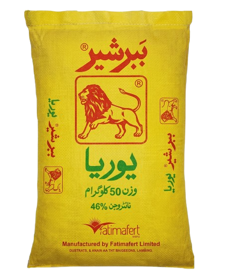 ببر شیر یوریا