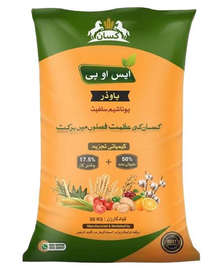 برکت ایس او پی پی