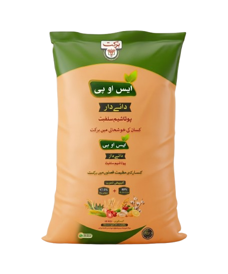 برکت ایس او پی