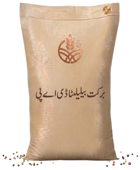 برکت بیلیٹا ڈی اے پی