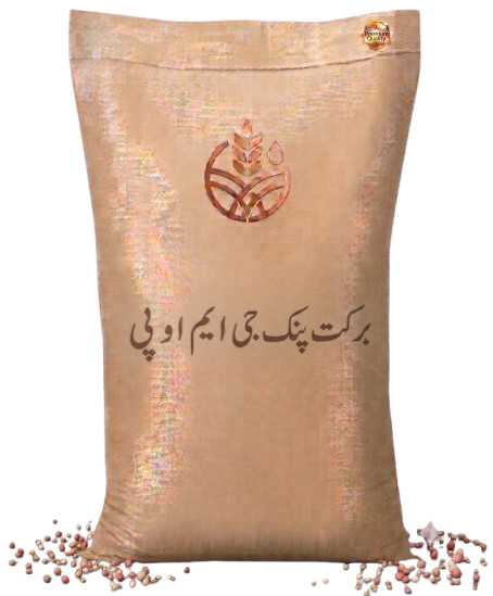 برکت وائٹ جی ڈی اے پی