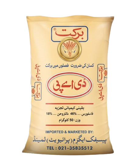 برکت ڈی اے پی