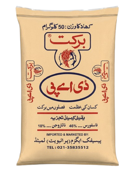 برکت ڈی اے پی