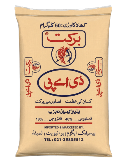 برکت ڈی اے پی