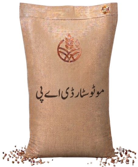 موٹو سٹار ڈی اے پی