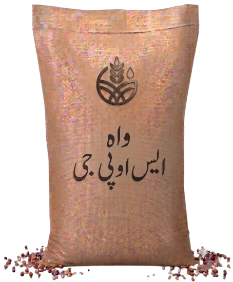 واہ ایس او پی جی