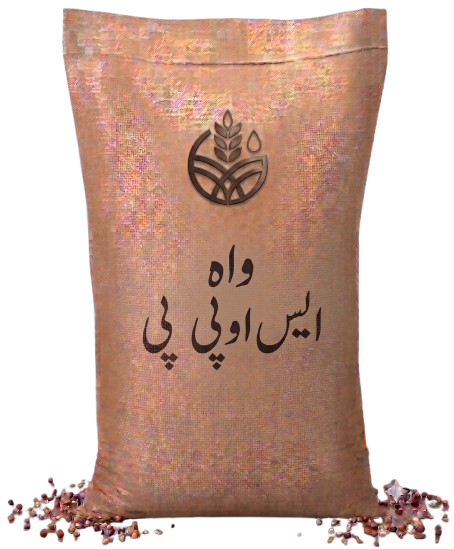 واہ ایس او پی پی