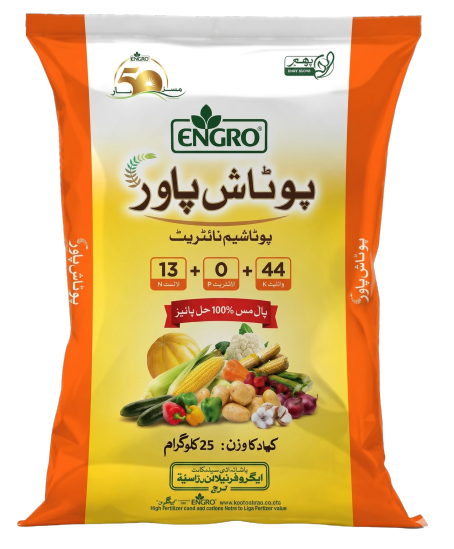 اینگرو پوٹاش پاور