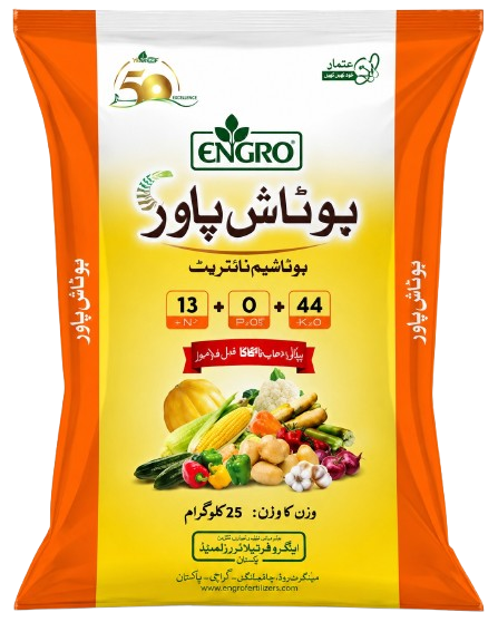 پوٹاش پاور