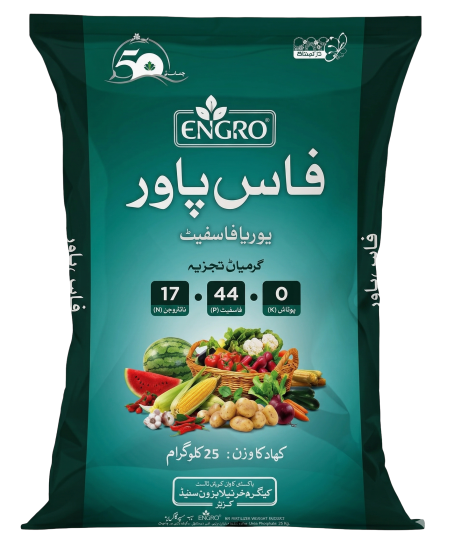 فاس پاور