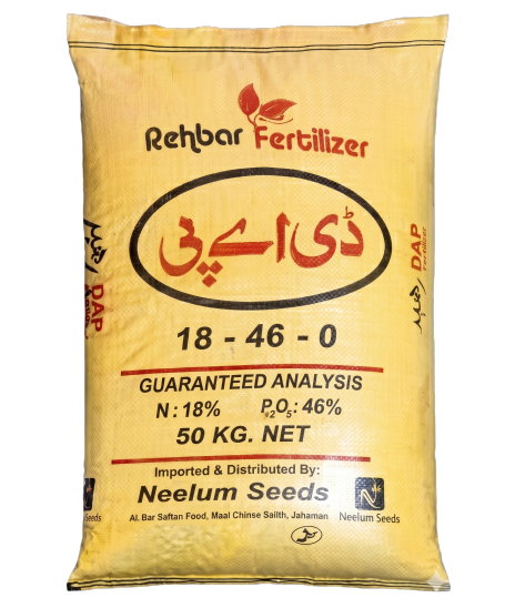 رہبر ڈی اے پی