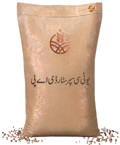 سپر سٹار ڈی اے پی