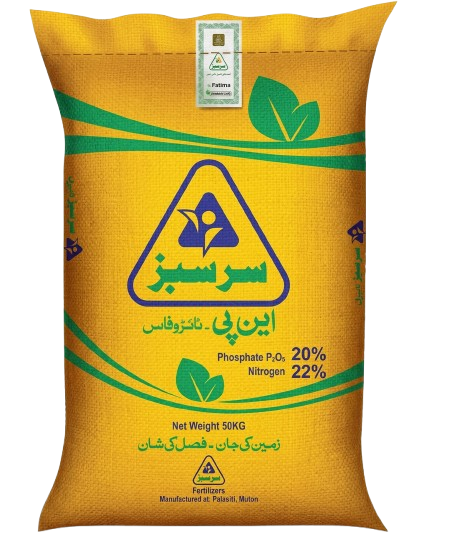 سرسبز این پی