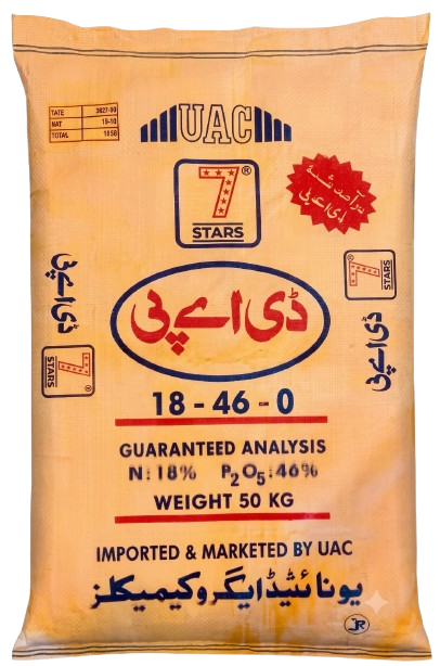 سیون سٹار ڈی اے پی