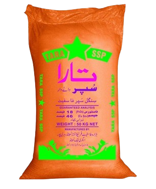 تارا ایس ایس پی