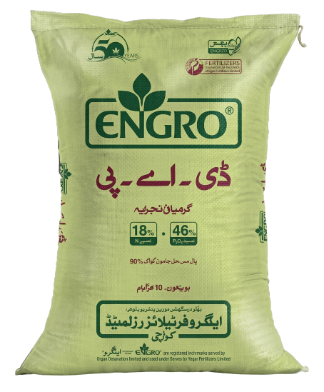 اینگرو ڈی اے پی