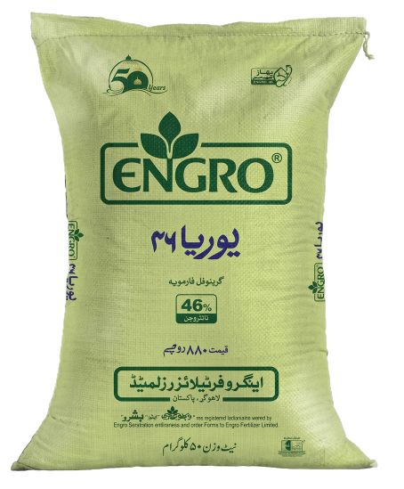 اینگرو یوریا