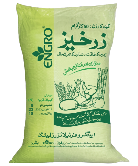 زرخیز این پی کے