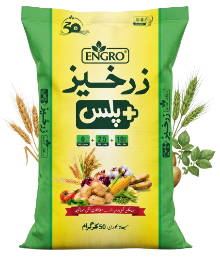 زرخیز پلس