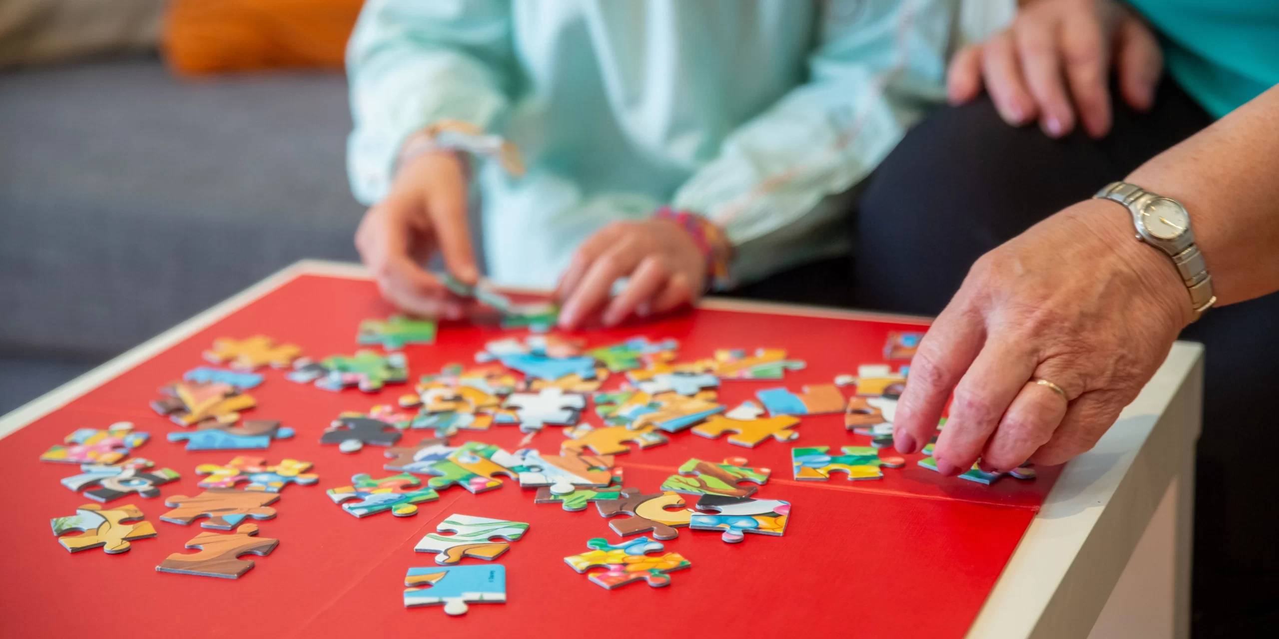 Jigsaw puzzles