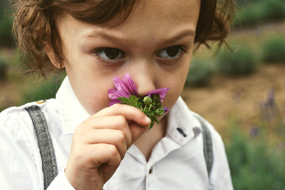 Olfactory (Smell) game for kids