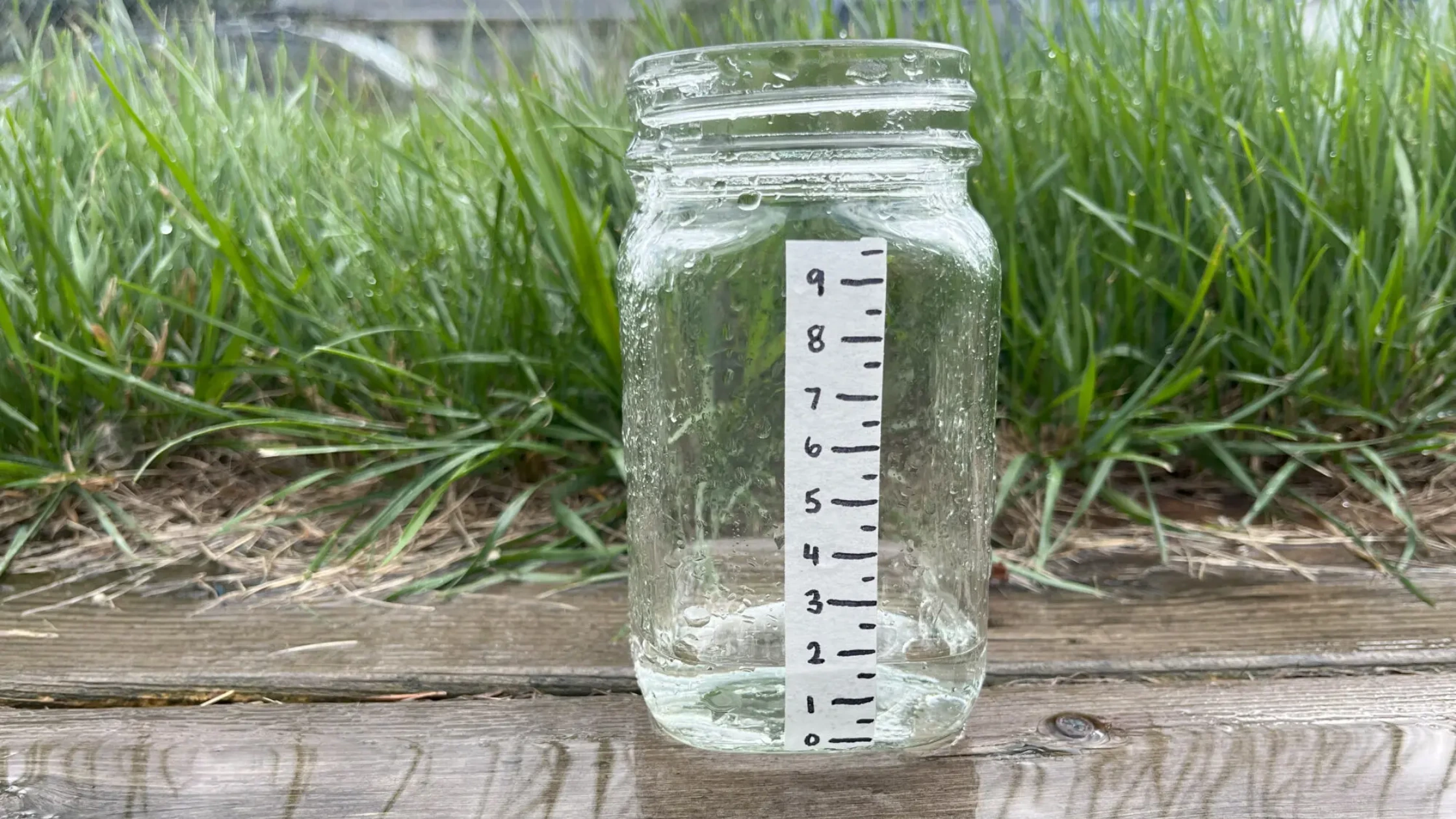 rain gauge