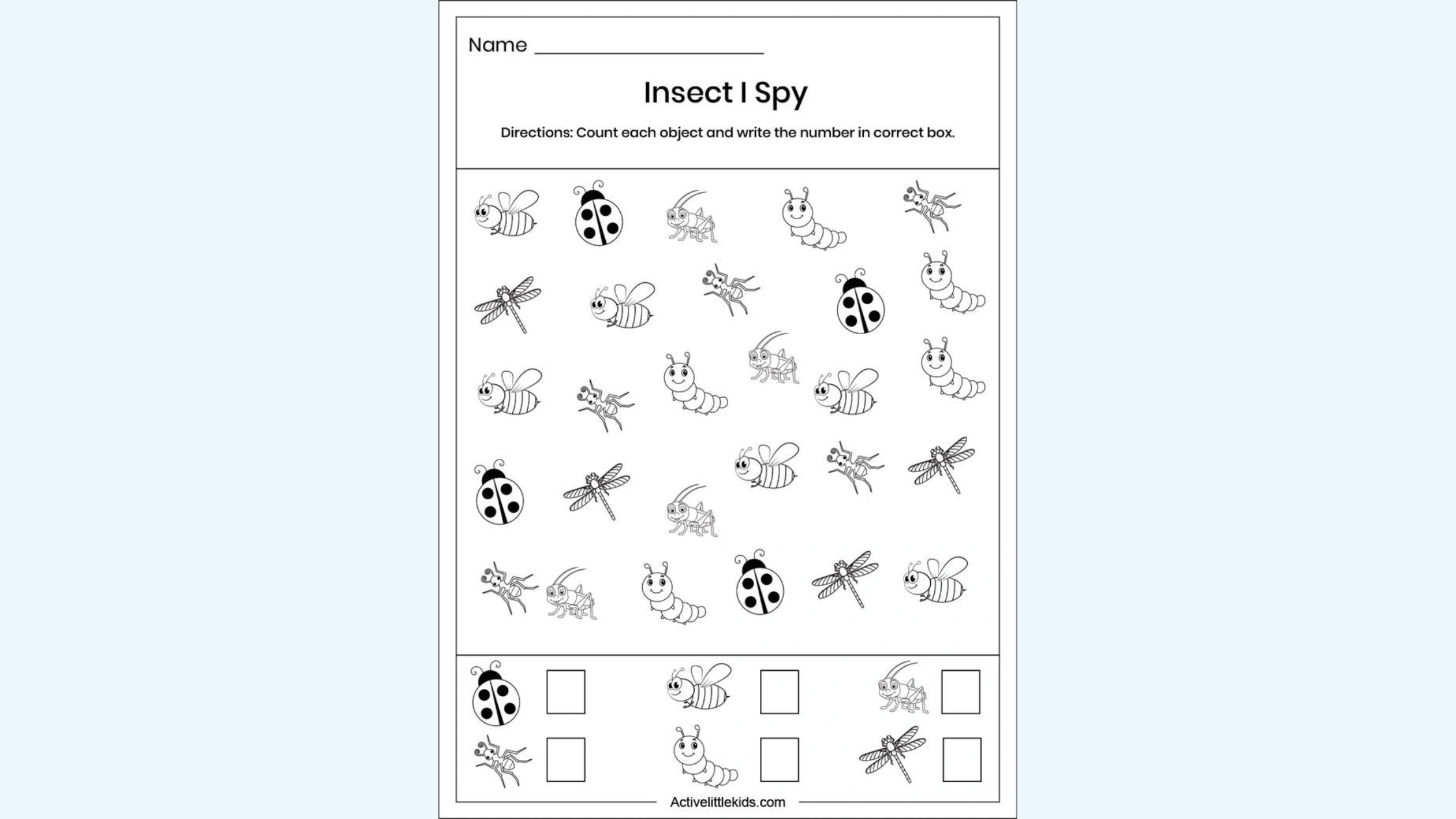 insect worksheet