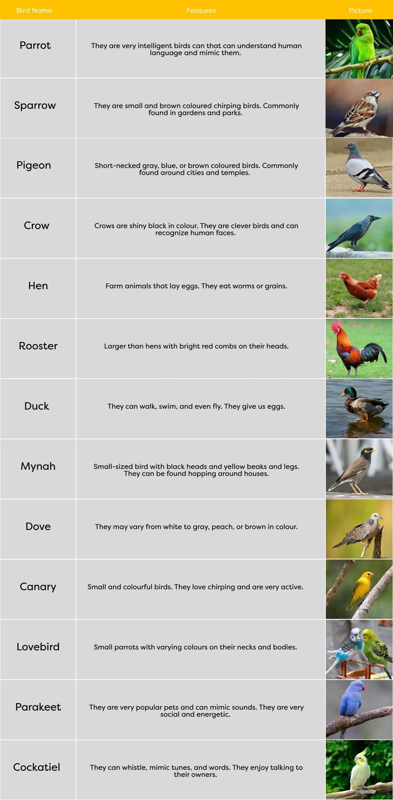 KLAY Preschools and Daycare