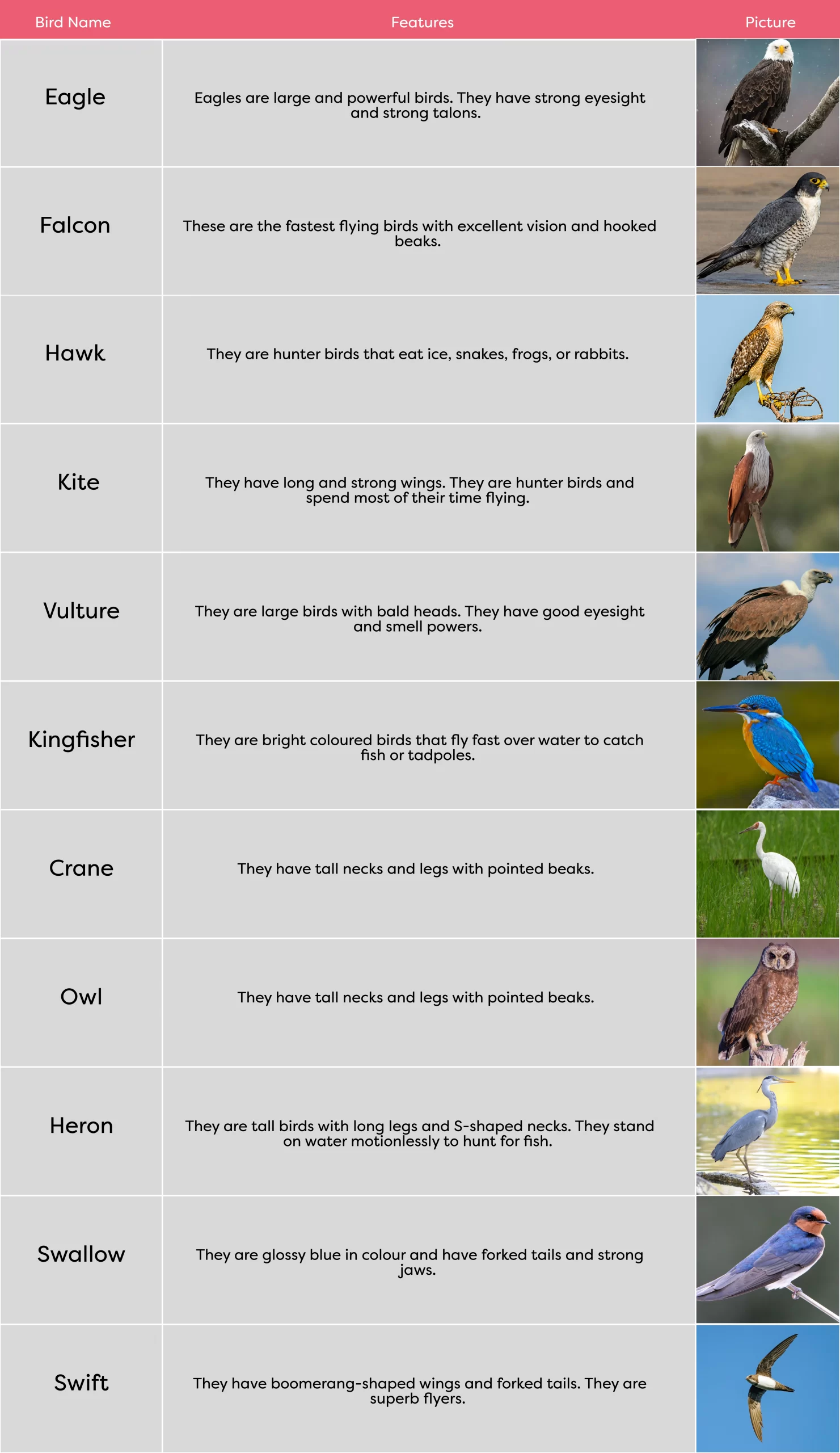 KLAY Preschools and Daycare