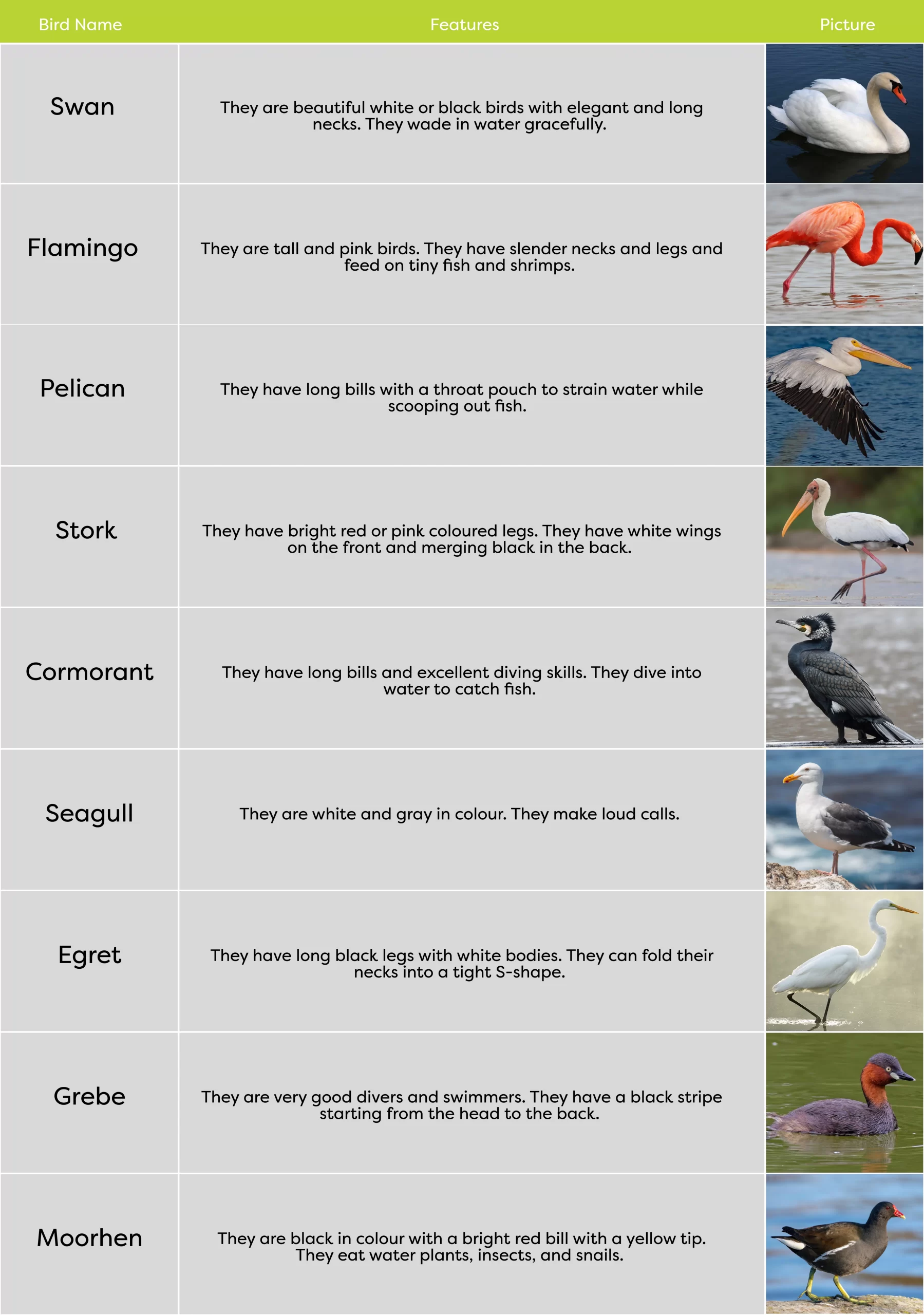 KLAY Preschools and Daycare