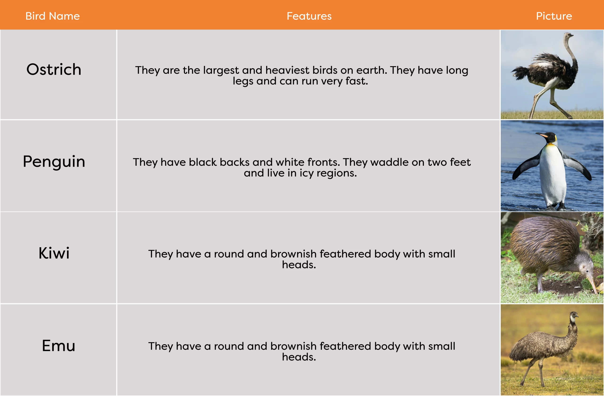 KLAY Preschools and Daycare