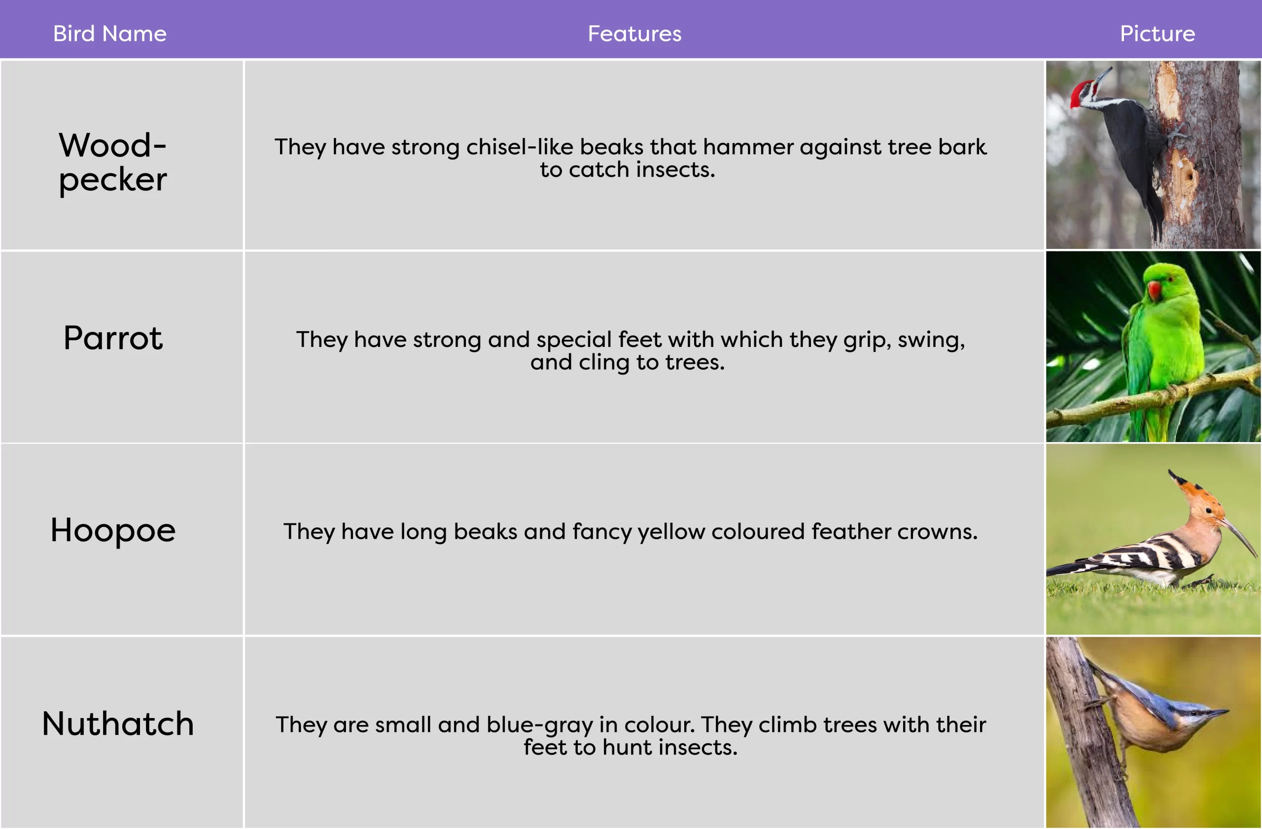 KLAY Preschools and Daycare