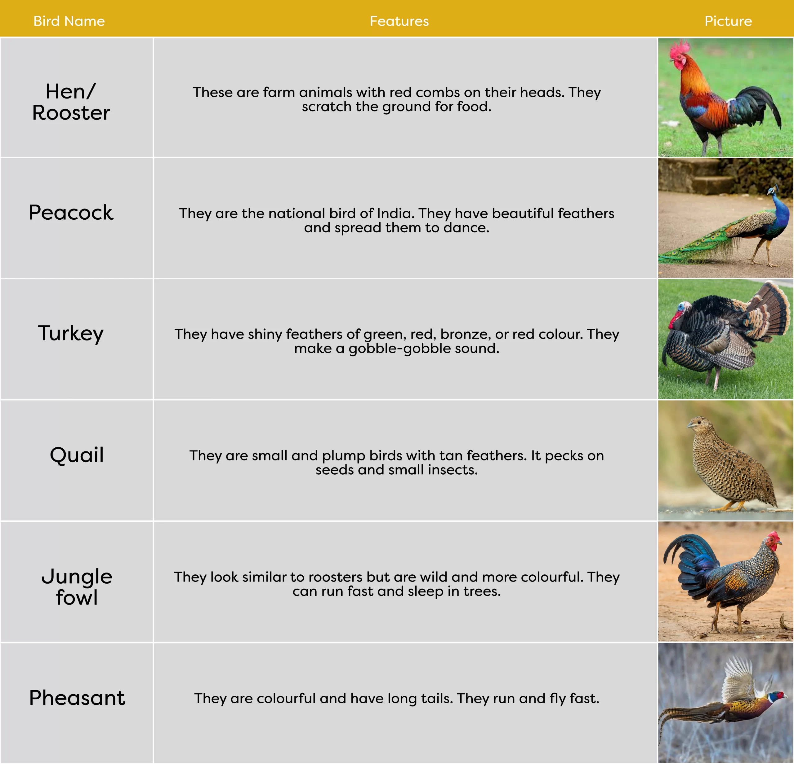 KLAY Preschools and Daycare