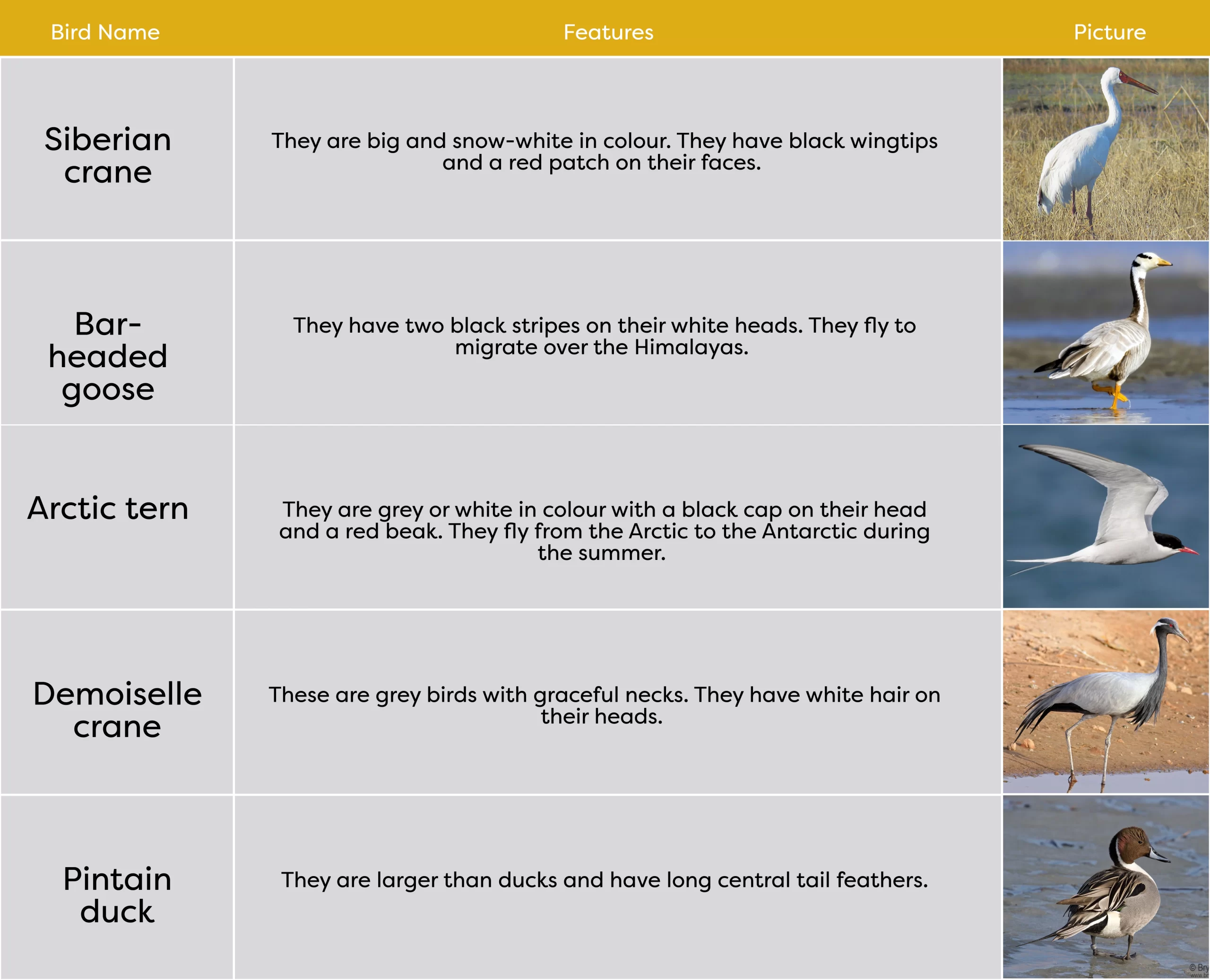KLAY Preschools and Daycare