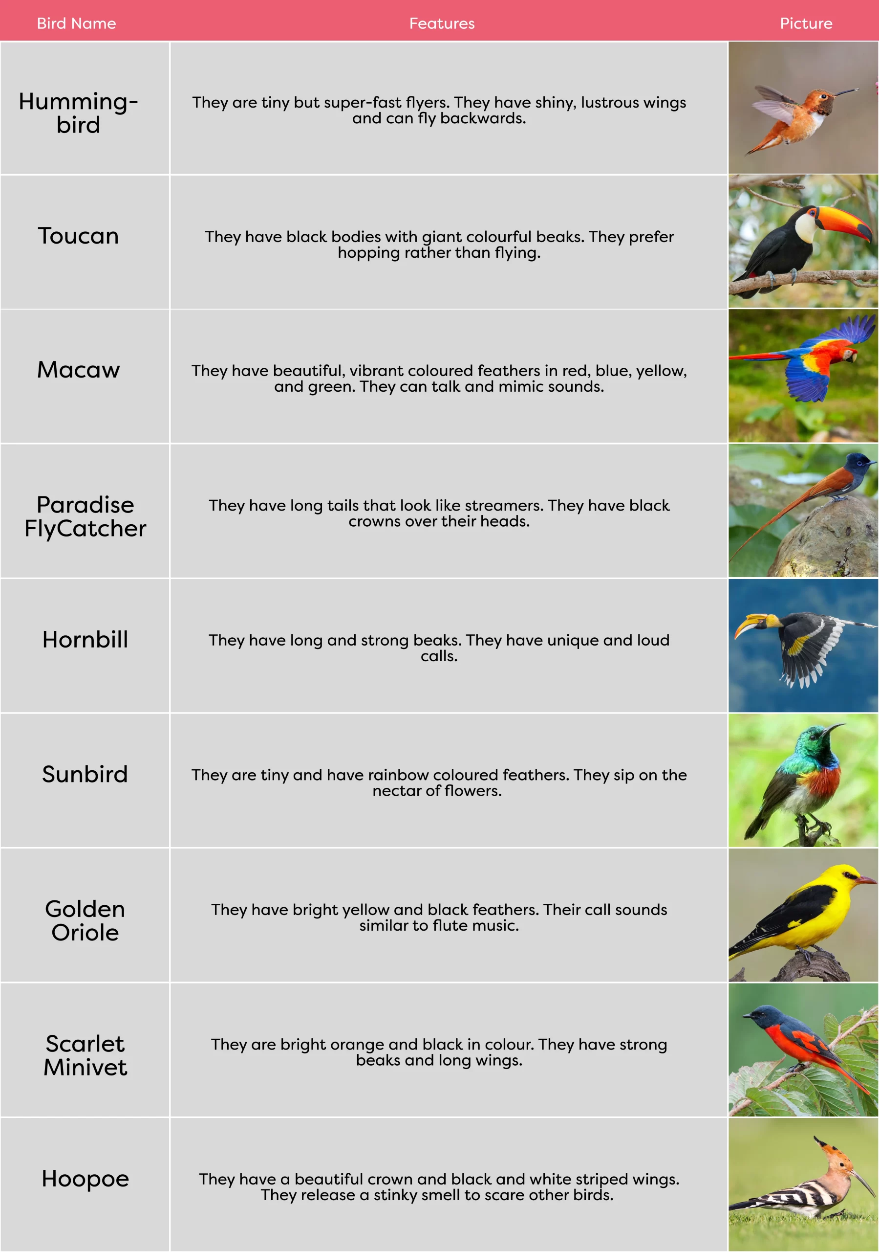 KLAY Preschools and Daycare