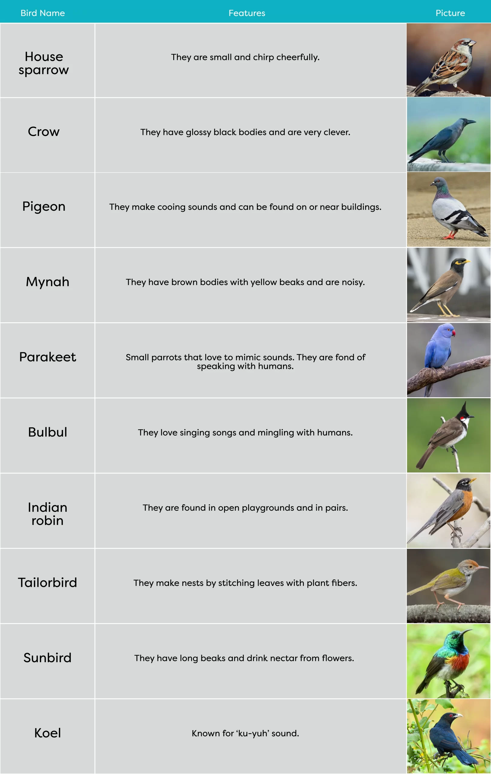 KLAY Preschools and Daycare