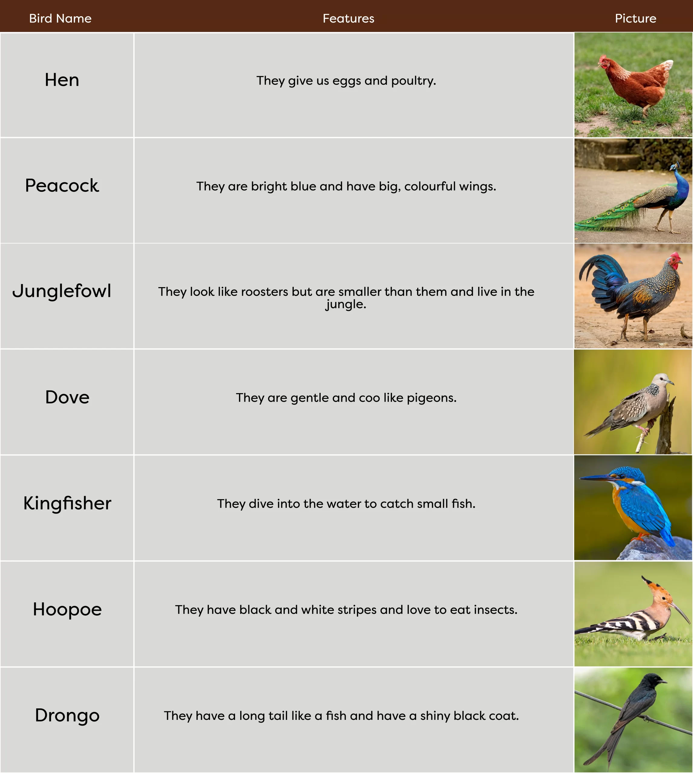 KLAY Preschools and Daycare